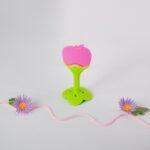 Apple Fruit - Silicone Teether