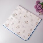 Aeroplane -2 Layer Muslin Blanket -85*85 cm