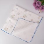 Aeroplane -2 Layer Muslin Blanket -85*85 cm - Image 2